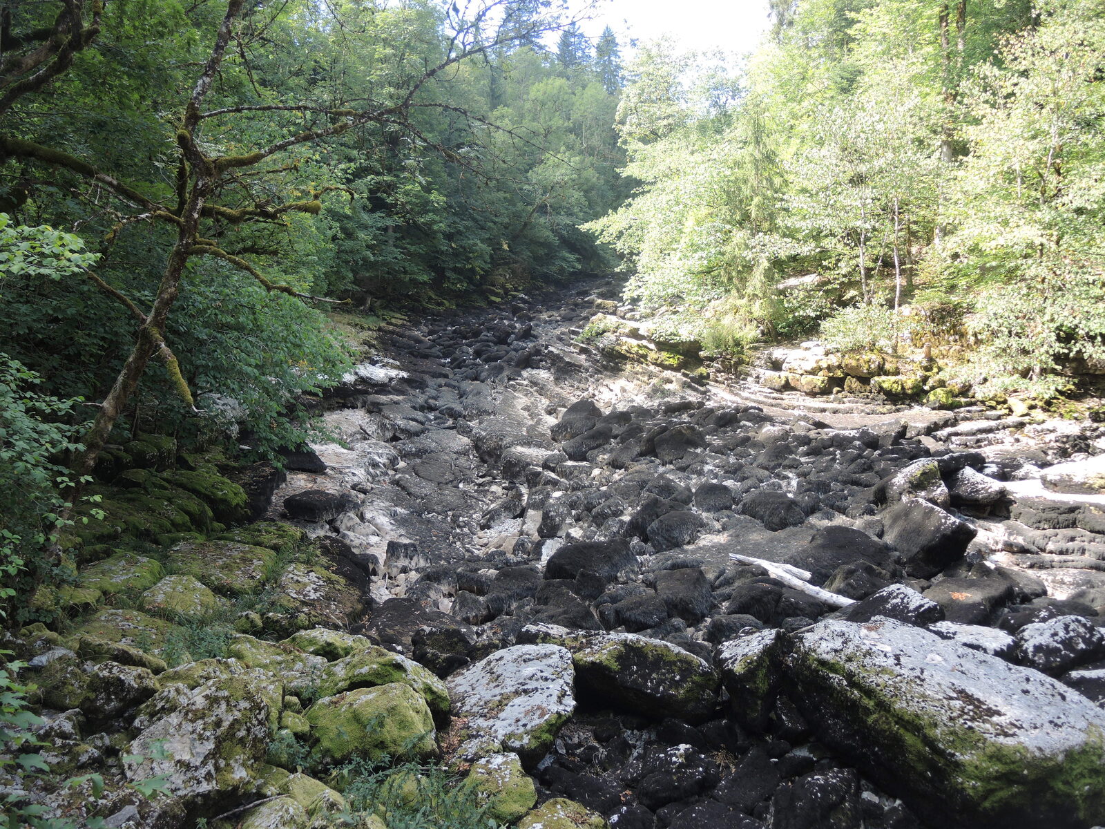 Lit de rivière presque à sec au fond d'une gorge boisée : blocs de calcaire mis à nu sur toute la largeur du cours d'eau, réduit à un mince filet.