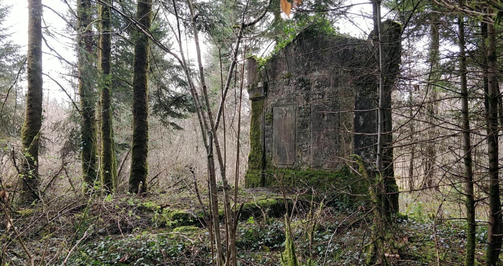 Le tombeau Villaume : édifice funéraire en pierre couvert de mousse et de lierre, isolé dans les bois communaux de Vertamboz.